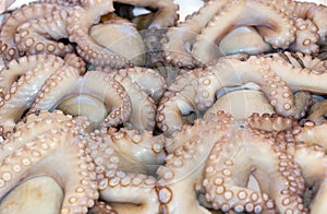 Fresh octopuses on a market stall