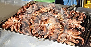 Fresh octopuses on an outdoor barbecue grill.