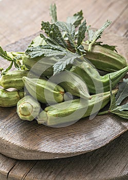 Fresh Okra or Lady Finger Vegetable