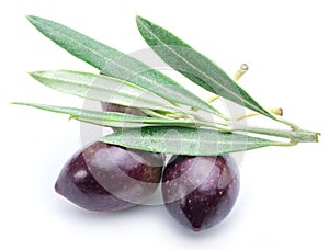 Fresh olives with leaves.