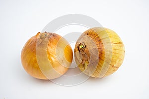 Fresh onion bulbs. in Group. isolated on white background