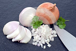 Fresh onion dices