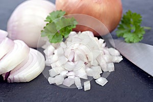 Fresh onion dices