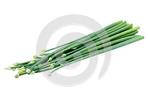 Fresh onion flower isolated on white background