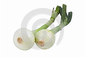 Fresh onion isolated on the white
