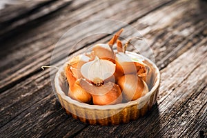 Fresh onion on wooden table