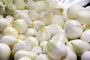 Fresh onions