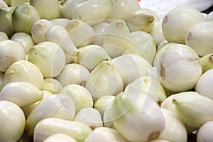 Fresh onions