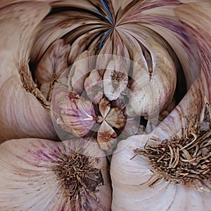Fresh Onions Abstract Paint Art