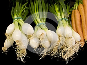 Fresh onions and carrots