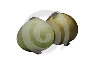 Fresh onions isolated on white background with clipping path