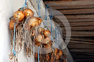 Fresh onions, local produce, organic vegetables