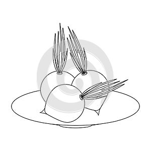 Fresh onions vegetables