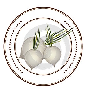 Fresh onions vegetables