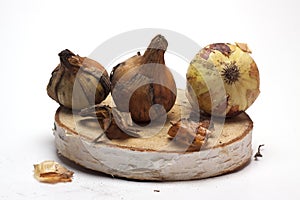 Fresh onions on a wooden stand on white background/fresh onions