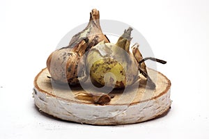 Fresh onions on a wooden stand on white background/fresh onions