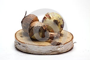 Fresh onions on a wooden stand on white background/fresh onions