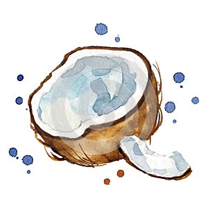 Fresh open coconut watercolor painting