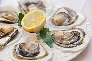 Fresh open oysters with lemon