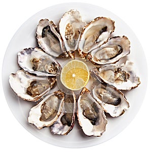 Fresh open oysters served with lemon