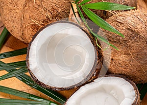 Fresh opened coconuts along with whole coconuts and coconut leaves on a wooden table photo