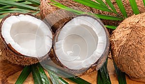 Fresh opened coconuts along with whole coconuts and coconut leaves on a wooden table