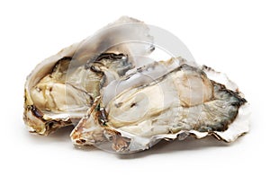 Fresh opened oyster