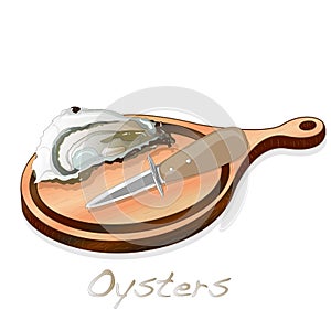 Fresh opened oyster vectorv images set on plate / dish isolated on white background