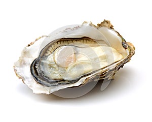 Fresh opened oyster