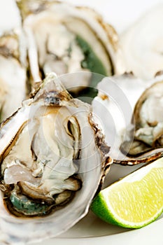 Fresh opened oysters