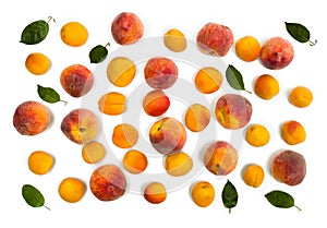 Fresh orange apricots, peaches fruits and green leaves on white background. Top view, flat lay