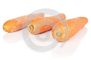 Fresh orange carrot isolated on white