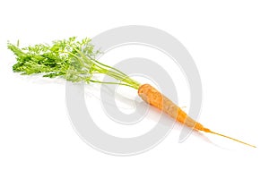 Fresh orange carrot isolated on white