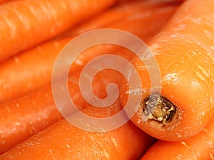 Fresh orange carrots closeup