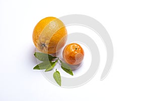 Fresh orange citrus fruit on white background. Sliced and whole orange. Healthy food.