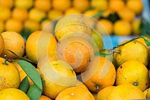 Fresh orange fruit backgroundFresh orange fruit background. Asian tropical food. Asian tropical food