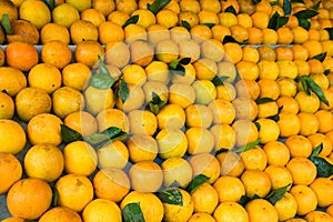 Fresh orange fruit backgroundFresh orange fruit background. Asian tropical food. Asian tropical food