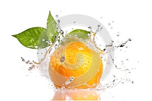 Fresh orange fruit Isolated with sliced and green leaves on white background.