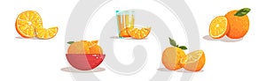 Fresh Orange Fruit with Juice in Glass Vector Set