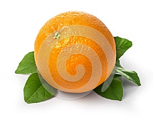 Fresh orange fruit with leaf
