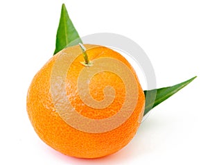 Fresh orange fruit mandarin isolated on white