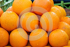 Fresh Orange Fruits