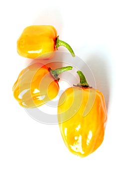 Fresh orange habanero chili peppers isolated on a white background