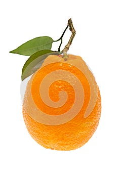 Fresh orange with leaf