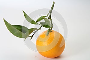 Fresh orange with leaves