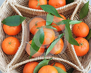 Fresh orange mandarin fruits
