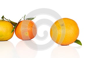 Fresh orange mandarin isolated on white