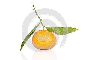 Fresh orange mandarin isolated on white