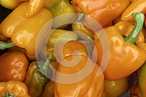 Fresh orange pepper