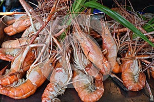 Fresh orange prawns with green spring onions on the chatuchak local market in Bangkok, Thailand